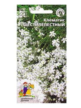 Семена Цветы Клематис Шестилепеcтный (УД) Е/П , Е/П,  10 шт.  (артикул 10965002)  большой выбор товаров оптом и в розницу по низким ценам с доставкой