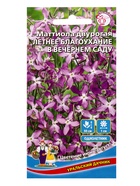 Семена Цветы Маттиола двурогая Летнее благоухание в вечернем саду (УД) Е/П , Е/П,  0,25 г. - Фото 1