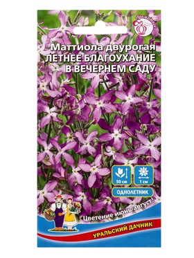 Семена Цветы Маттиола двурогая Летнее благоухание в вечернем саду (УД) Е/П , Е/П,  0,25 г. (комплект 3 шт)