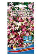 Семена Цветы Маттиола двурогая Чудеса на улице июльских дней (УД) Е/П , Е/П,  0,25 г. - Фото 1