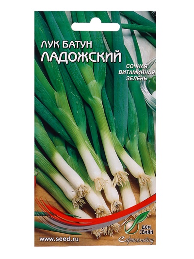 Семена  Лук батун "Ладожский" (/: 17 е/д)