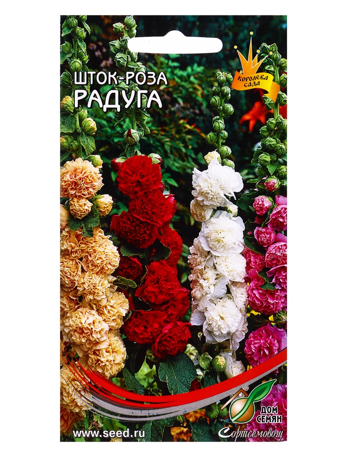 Семена цветов Шток- роза Радуга 17 шт - Фото 1