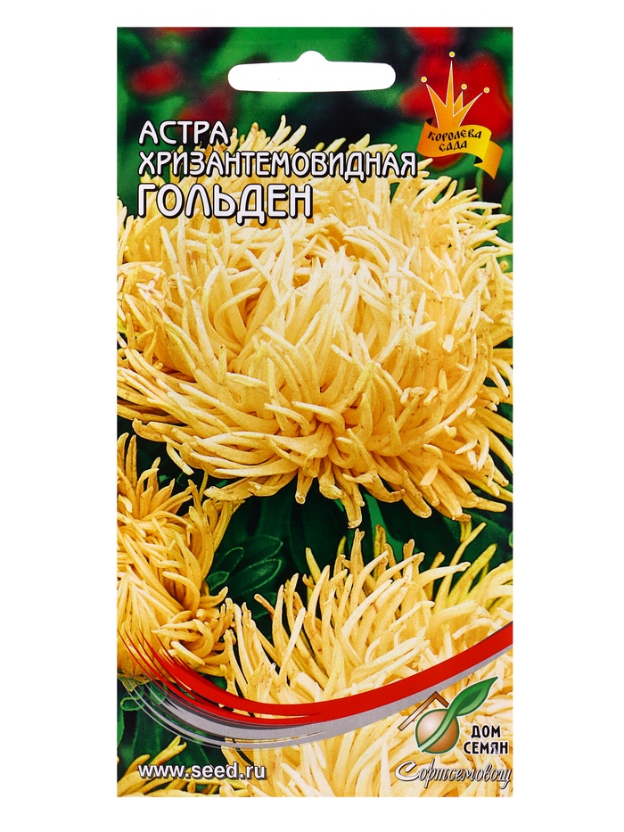 Семена цветов Астра хризант.Гольден 85 шт