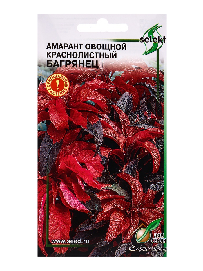 Семена Амарант овощной краснолистный Багрянец 100 шт - Фото 1