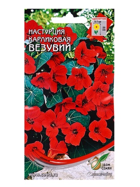 Семена цветов  Настурция карлик. Везувий 8 шт (комплект 2 шт)