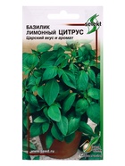 Семена Базилик лим.Цитрус 130 шт  (артикул 10965461)  большой выбор товаров оптом и в розницу по низким ценам с доставкой