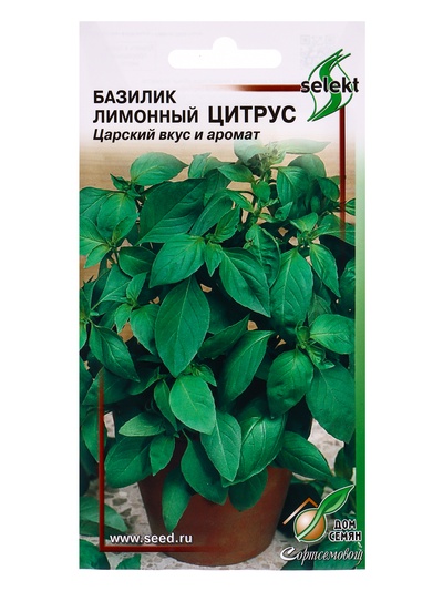 Семена Базилик «Лимонный Цитрус», 130 шт., «Дом семян»