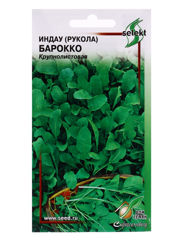 Семена Индау ( руккола ) Барокко 250 шт - Фото 1