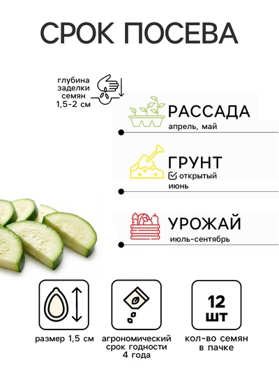 Семена Кабачок Барчук F1 12 шт