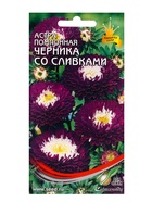 Семена цветов Астра помпон. Черника со сливками 100 шт (комплект 3 шт) - фото 68176041