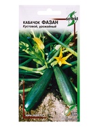 Семена Кабачок Фазан 14 шт (комплект 2 шт) - фото 68176043