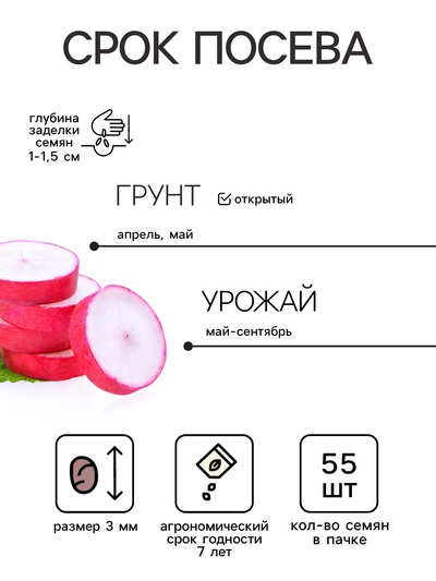 Семена Редис «Сора», 55 шт., «Дом семян»