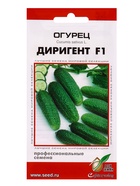 Семена Огурец Диригент F1 6 шт  (артикул 10965484)  большой выбор товаров оптом и в розницу по низким ценам с доставкой