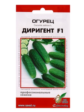 Семена Огурец Диригент F1 6 шт  (артикул 10965484)  большой выбор товаров оптом и в розницу по низким ценам с доставкой