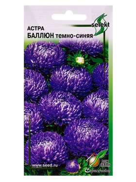 Семена цветов Астра Баллюн тёмно-синяя 30 шт (комплект 2 шт)