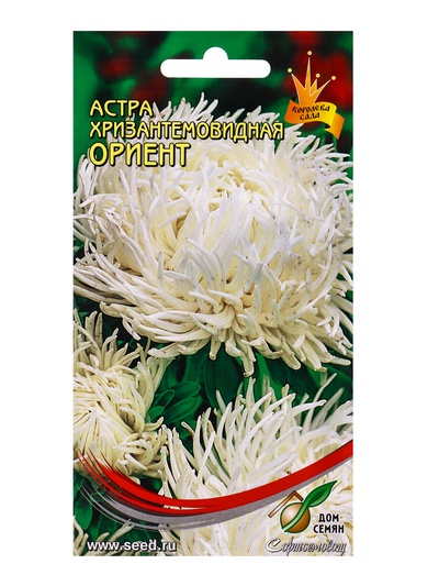 Семена цветов Астра хризантемовидная Ориент 85 шт.