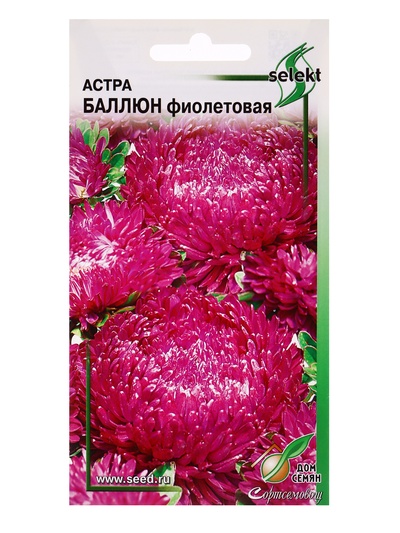 Семена цветов Астра «Баллюн фиолетовая», 30 шт., «Дом семян»