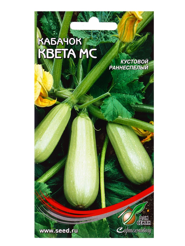 Семена Кабачок Квета Мс 11 шт