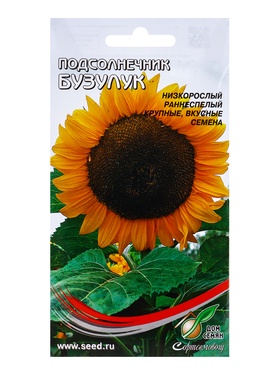 Семена Подсолнечник Бузулук 60 шт  (артикул 10965499)  большой выбор товаров оптом и в розницу по низким ценам с доставкой