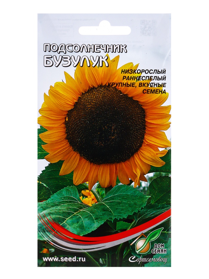 Семена Подсолнечник Бузулук 60 шт