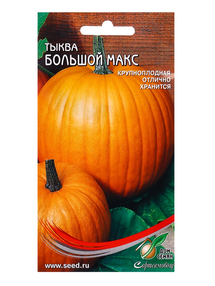 Семена Тыква Большой Макс 5 шт - Фото 1
