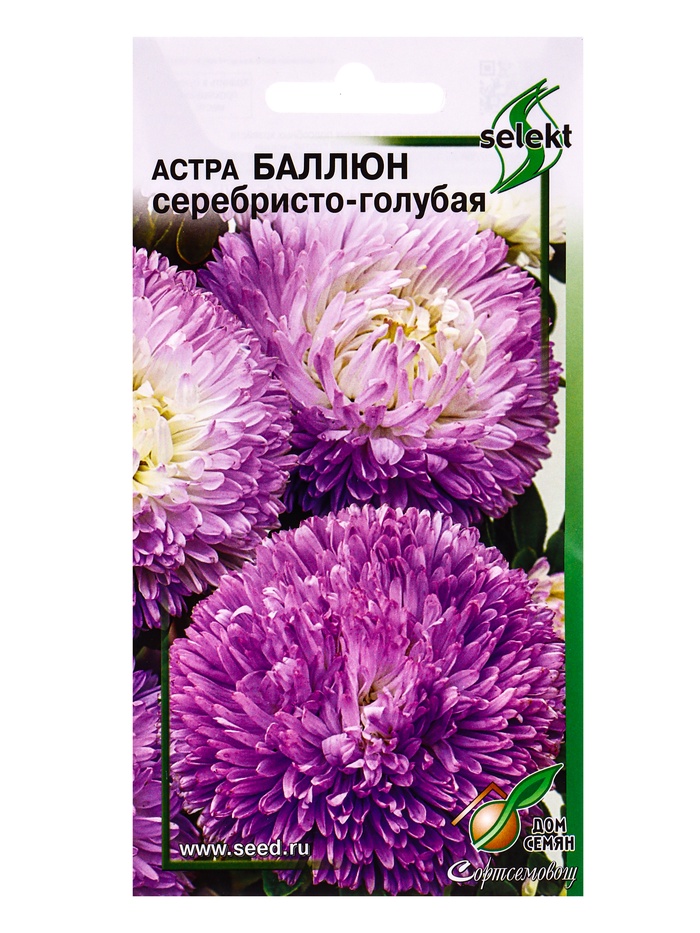 Семена цветов Астра Баллюн серебристо-голубая 30 шт. - Фото 1