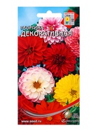 Семена цветов Георгина Декоративная 15 шт (комплект 2 шт) - фото 68176119