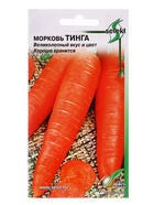 Семена Морковь Тинга 1100 шт  (артикул 10965519)  большой выбор товаров оптом и в розницу по низким ценам с доставкой