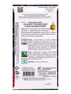 Семена цветов Амарант трёхцвет. Раннее Великолепие 100 шт - Фото 2