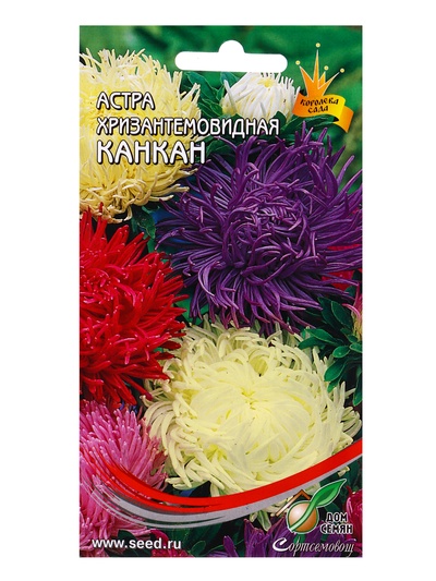 Семена цветов Астра хризантемовидная «Канкан» смесь, 100 шт., «Дом семян»