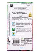 Семена цветов Астра хризант.Канкан смесь 100 шт (комплект 3 шт) - фото 68176140