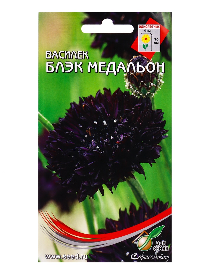 Семена цветов Василёк Блэк Медальон 40 шт - Фото 1