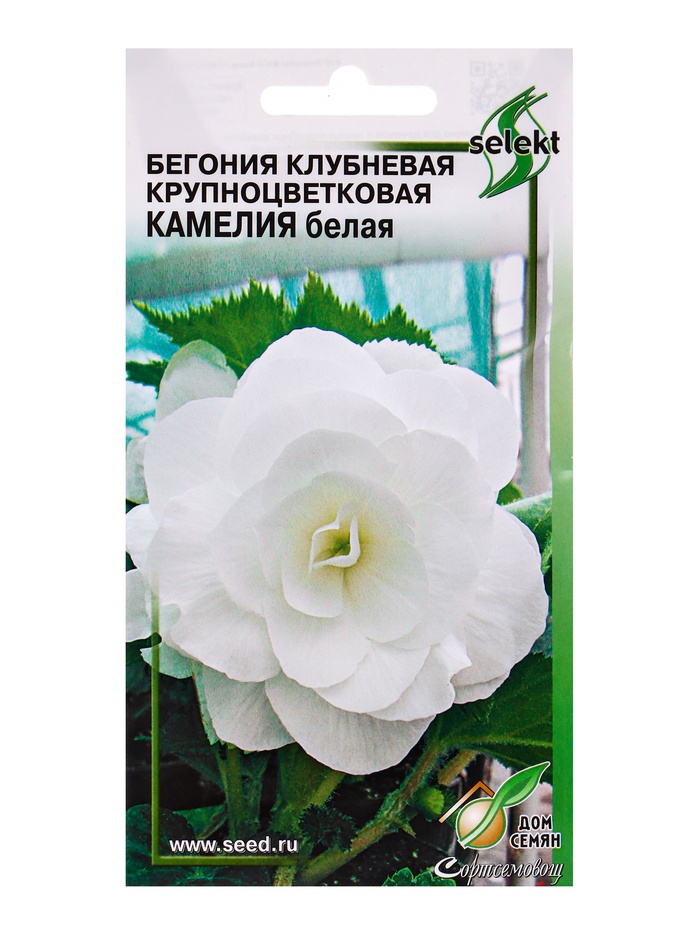 Семена цветов Бегония крупноцв.Камелия белая 10 шт - Фото 1