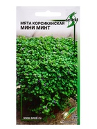 Семена цветов Мята Корсиканская Мини Минт 5 шт - фото 809452754