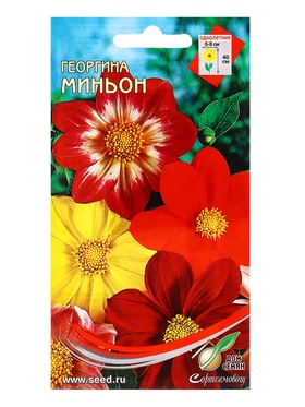 Семена цветов Георгина Миньон (смесь) 15 шт  (артикул 10965546)  большой выбор товаров оптом и в розницу по низким ценам с доставкой