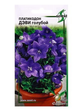 Семена цветов Платикодон Деви, голубой 30 шт  (артикул 10965551)  большой выбор товаров оптом и в розницу по низким ценам с доставкой