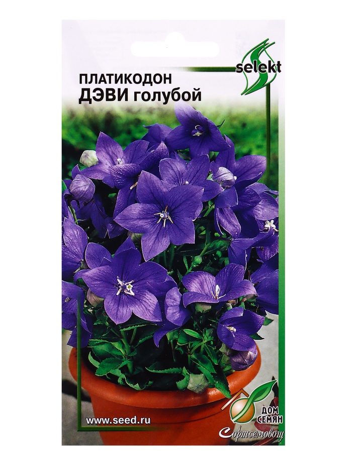 Семена цветов Платикодон Деви, голубой 30 шт - Фото 1