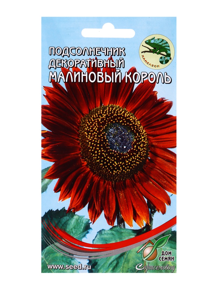 Семена цветов Подсолнечник Малиновый Король 15 шт - Фото 1