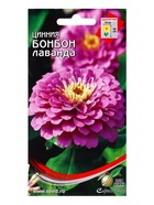 Семена цветов Цинния Бонбон лаванда 24 шт (комплект 2 шт) - фото 68176183