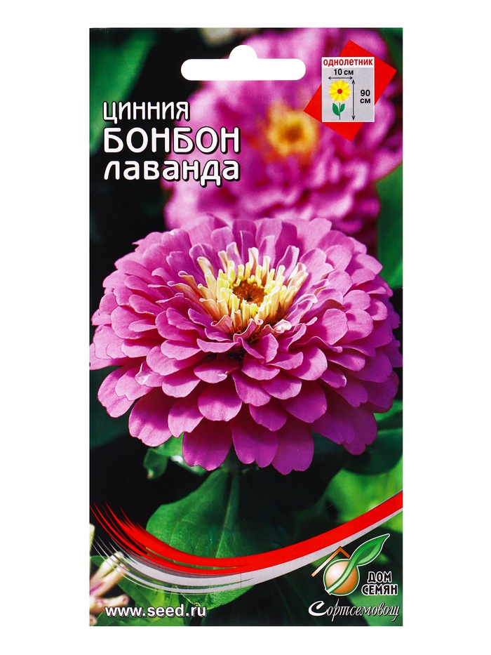 Семена цветов Цинния Бонбон лаванда 24 шт - Фото 1