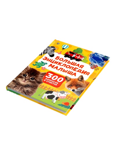 Большая энциклопедия малыша «300 вопросов и ответов», 144 стр.