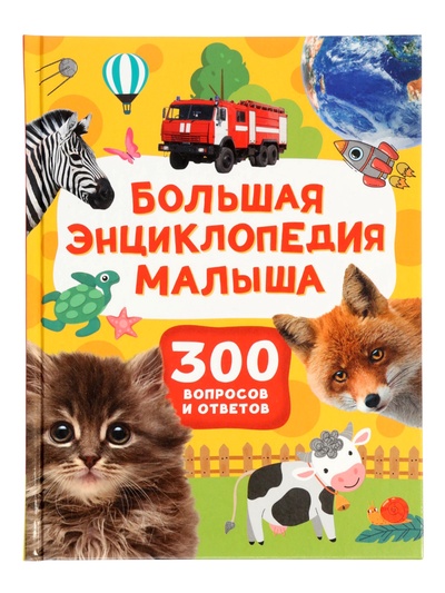 Большая энциклопедия малыша «300 вопросов и ответов», 144 стр.