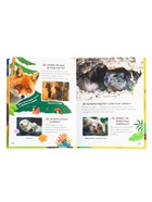 Большая энциклопедия малыша «300 вопросов и ответов», 144 стр. 10973707