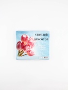 Подарочный набор: блокнот А6, 40 л., магнитные закладки, ручка «Цвети от счастья»  (артикул 10908581)  большой выбор товаров оптом и в розницу по низким ценам с доставкой