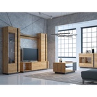 УЦЕНКА Шкаф-пенал Арчи 10.05, 500×301×1549, Дуб крафт золотой/Камень темный - Фото 2