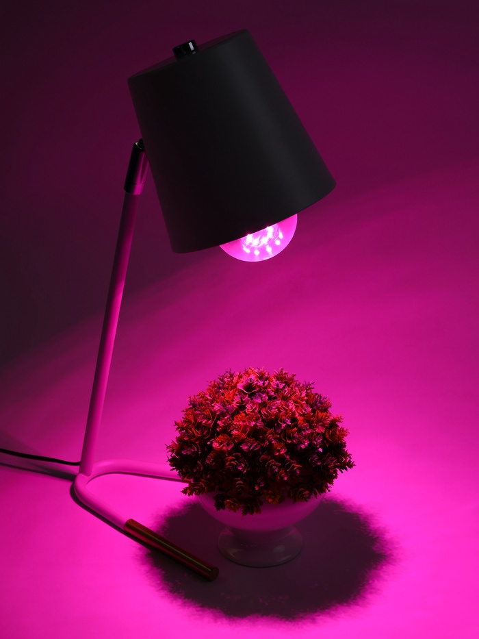 Фитолампа для растений VKL Electric, A65, 10 Вт, E27, IP20, красно-синий спектр - Фото 1