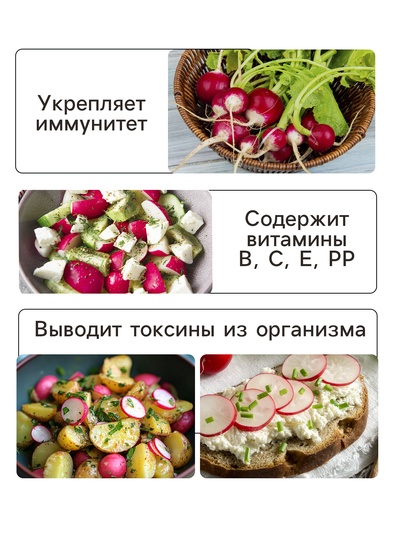 Семена Редис «Алекс», F1, 1 г, «Сибирский Сад»