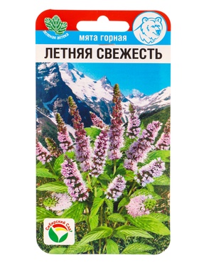 Семена Мята Летняя свежесть 0,04г (Сиб Сад)  (артикул 10955884)  большой выбор товаров оптом и в розницу по низким ценам с доставкой