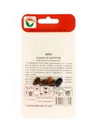 Семена Арбуз «Сахарный красавчик», 5 шт., «Сибирский сад»  (артикул 10960629)  большой выбор товаров оптом и в розницу по низким ценам с доставкой