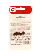 Семена Арбуз «Чарльстон Грей», 5 шт., «Сибирский сад»  (артикул 10960631)  большой выбор товаров оптом и в розницу по низким ценам с доставкой